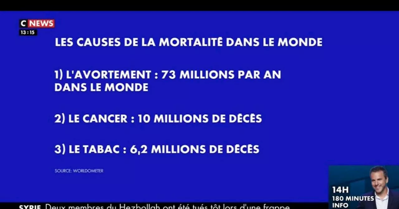 Avortements classés parmi les «causes de mortalité» : l’Arcom saisie après une séquence polémique de CNews