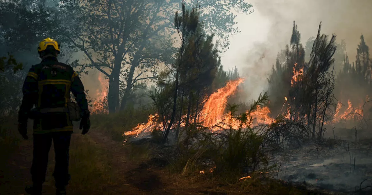 Incendie en Gironde : aucun responsable identifié pour le principal mégafeu de Landiras en 2022