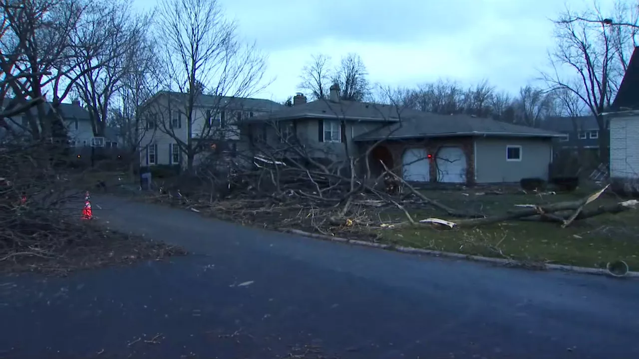 Reports of 5 tornadoes touched down in Illinois amid severe weather; NWS to investigate