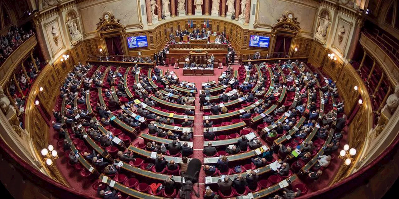 IVG : le Sénat approuve son inscription dans la Constitution, le Congrès réunit lundi