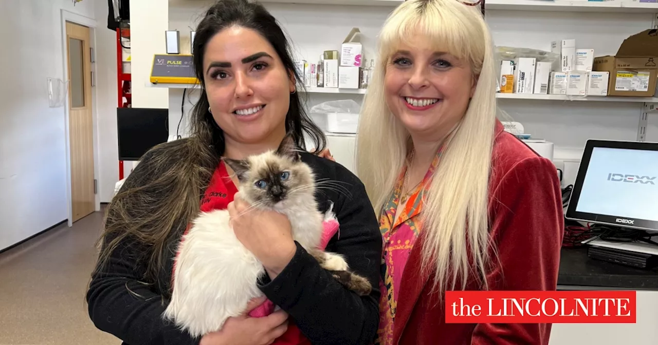 Paws and reflect: Disabled Lincolnshire kitten stars in ‘The Pet Psychic’ show