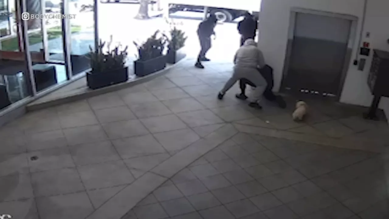 West Hollywood gym owner pistol-whipped while fending off Rolex robbery