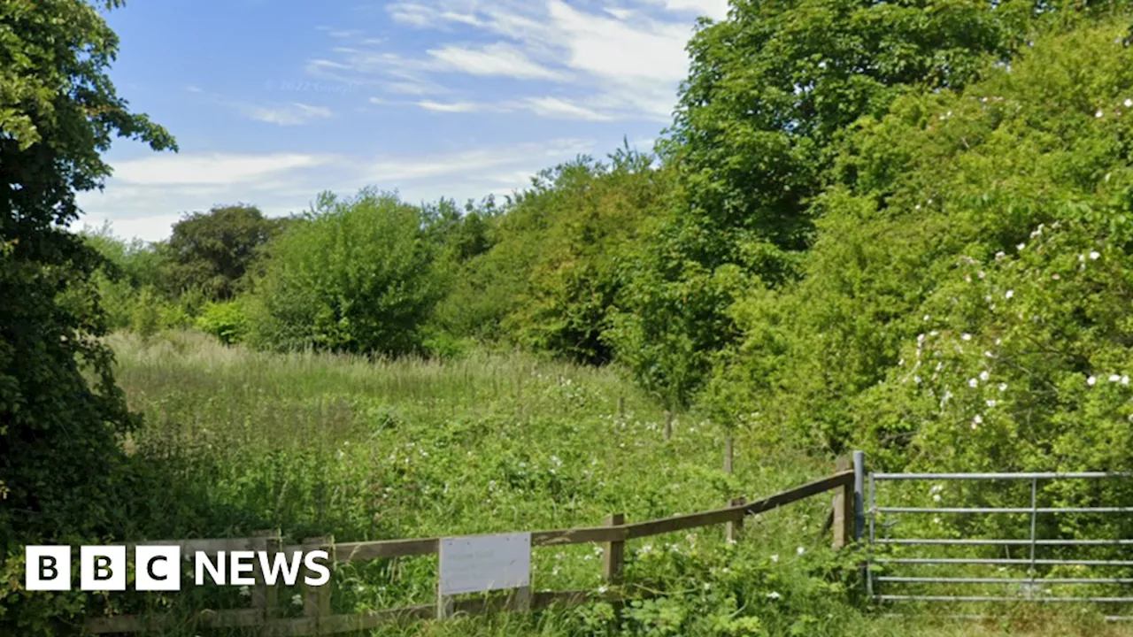 Telford homes plans dropped following wildlife concerns