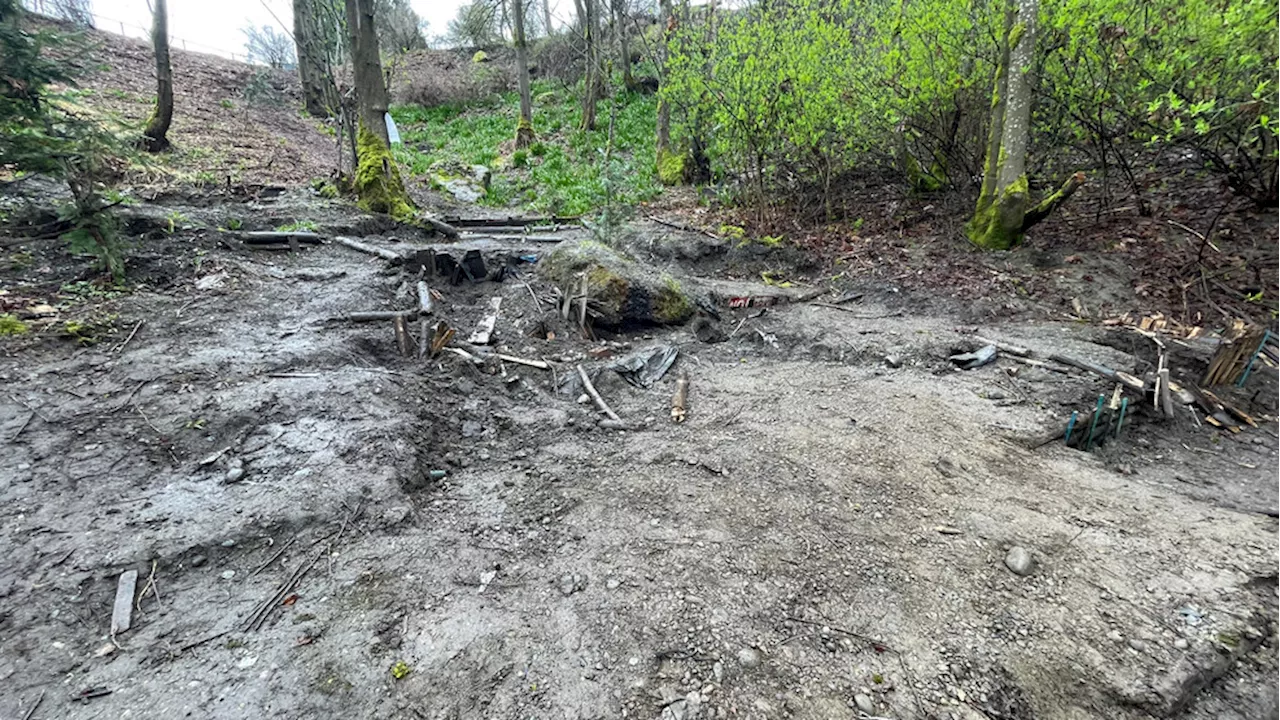 Crews remove cabin and makeshift-mine that homeless man built in Seattle park