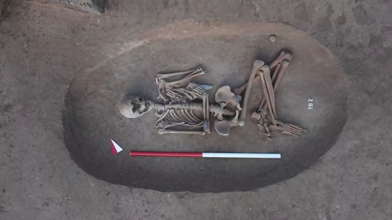 Copper Age necropolis unearthed in Italy contains skeletal remains and still-sharp weapons, maybe from ancient warriors