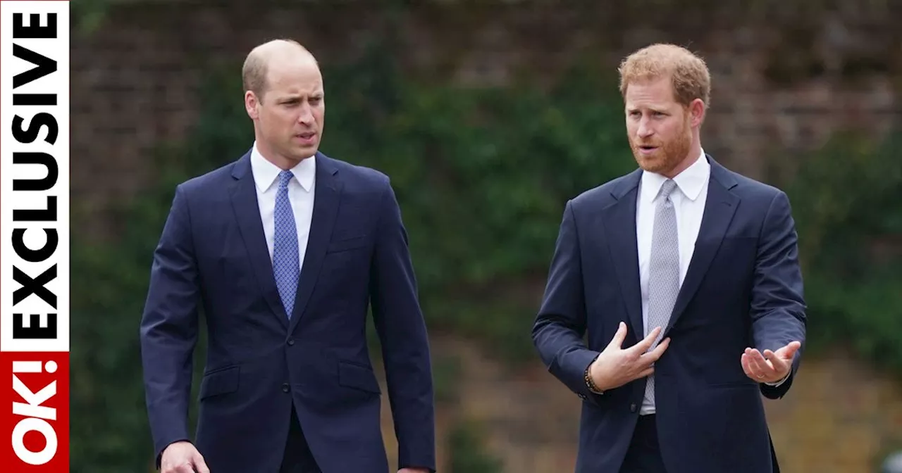 Prince Harry 'still believes he's the victim' as William set to cut brother out