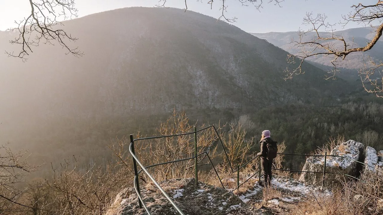 Nächtigungen: NÖ-Tourismus weiterhin im Aufwind