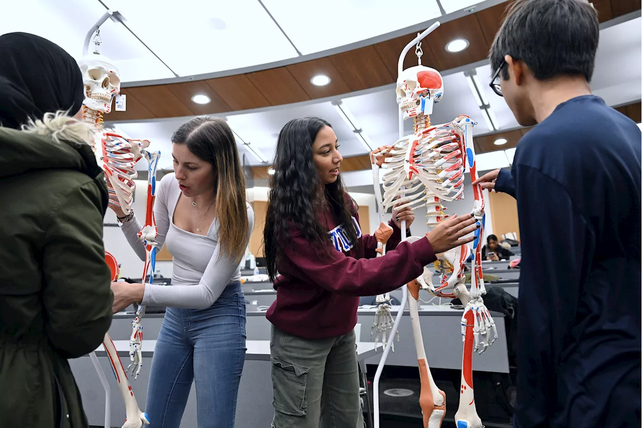 High school students learn CPR, life support skills at TouroCOM in Harlem