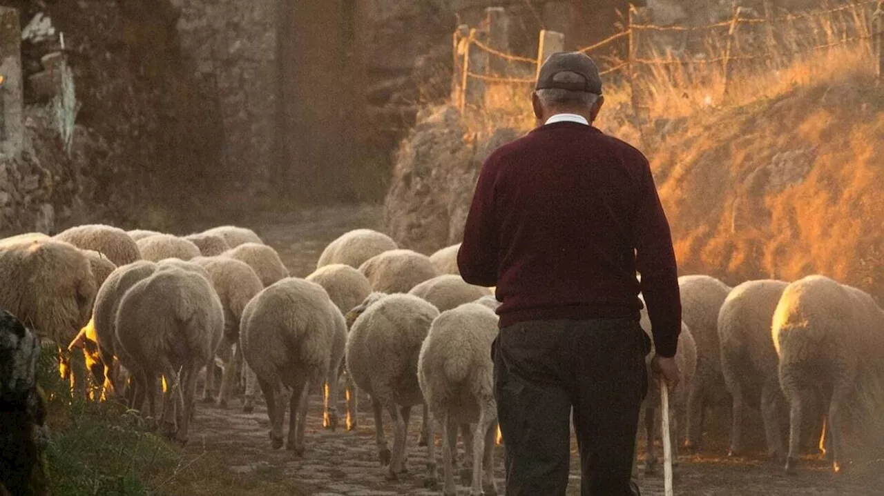 De 1870 à aujourd’hui, ces chiffres qui montrent l’effondrement du monde paysan