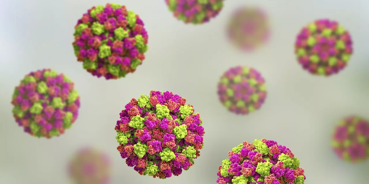 Norovirus Cases Are Skyrocketing: What You Need to Know