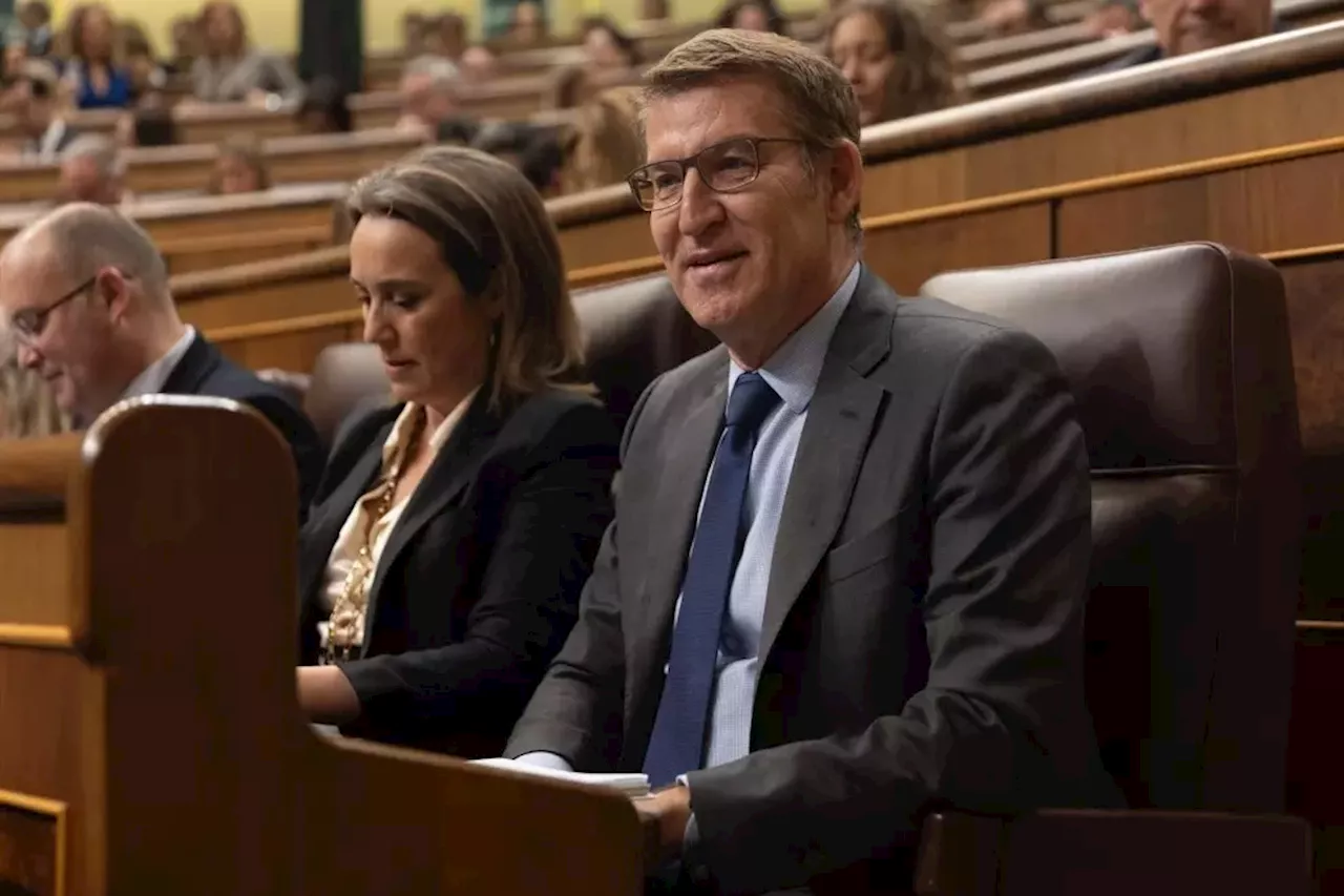 El PP de Ayuso presiona a Feijóo para que se oponga a que el Congreso investigue la compra de mascarillas en ...