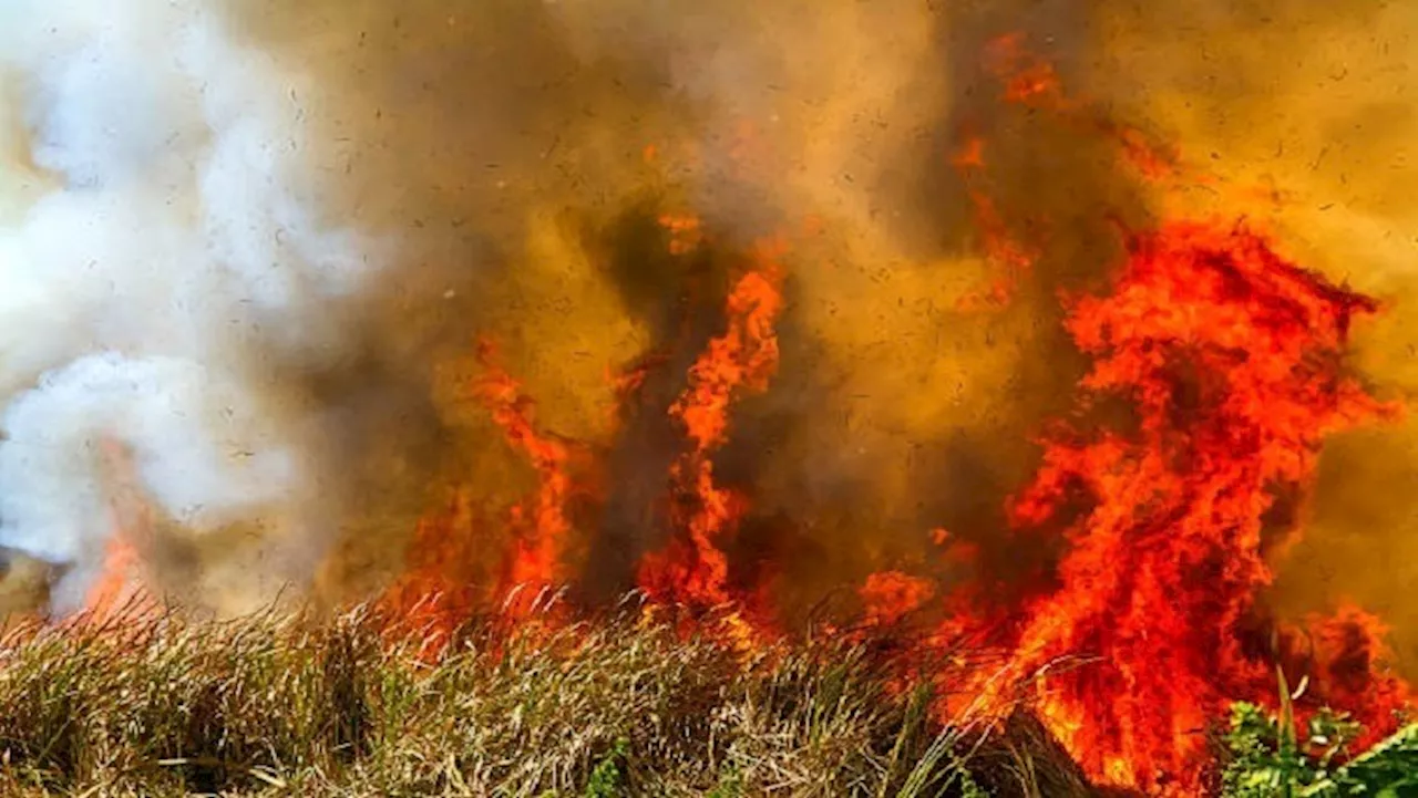 'Raging veld fire at Sardinia Bay still not contained' - SABC News