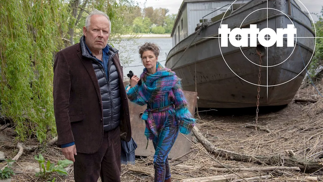 Tatort-Kritik zum Tatort aus Kiel (3.3.): Borowski lässt sich gerne unterschätzen!