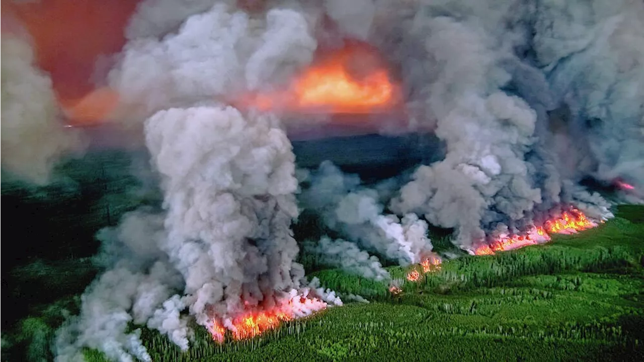 B.C. wildfire season: Expect an early, intense battle as drought lingers