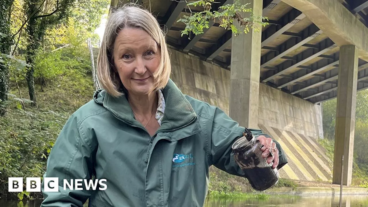 Toxic Run-off from Roads Polluting English Waterways