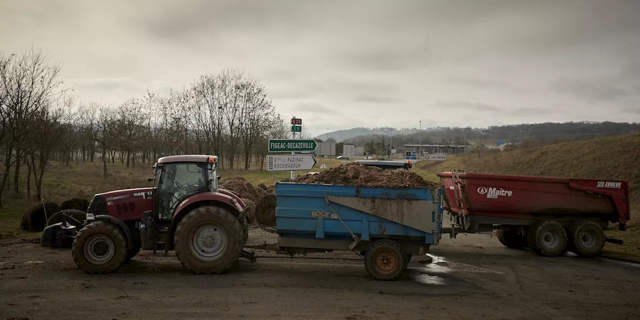 Quanto valgono i sussidi europei all’agricoltura