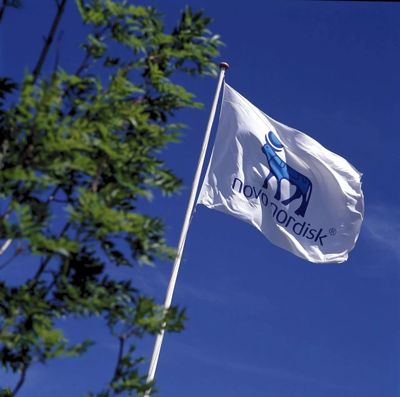 Novo Nordisk Fonden støtter undersøgelse om atomkraft i Danmark