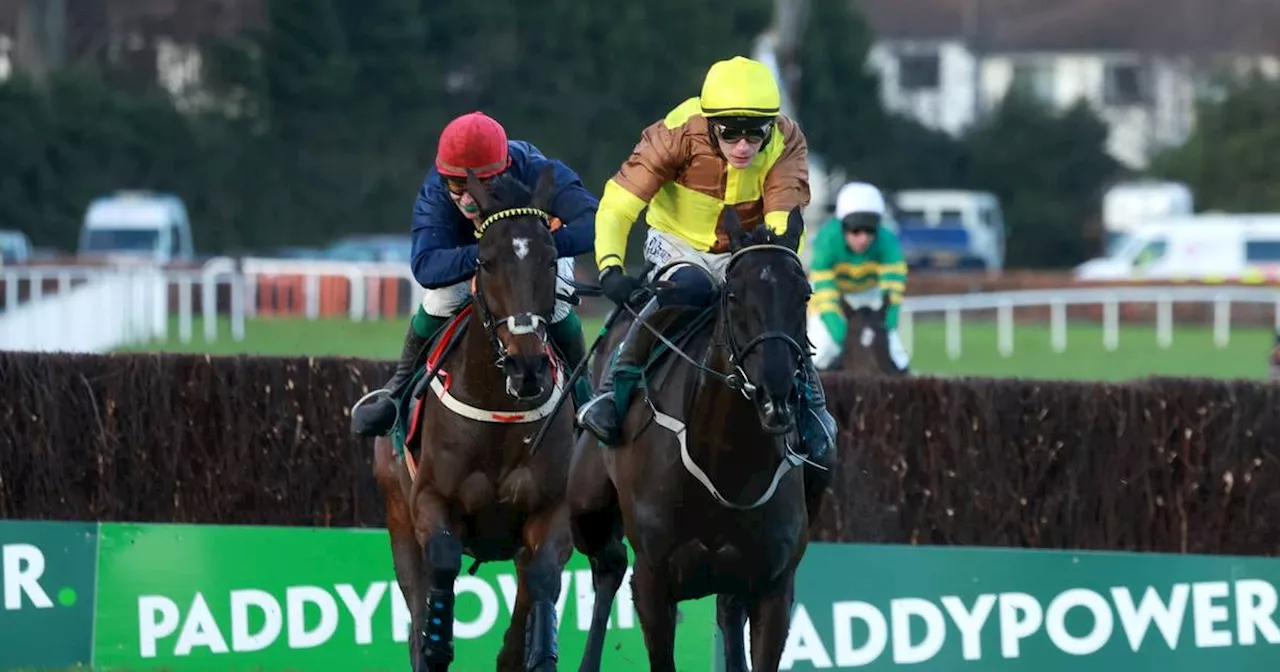 Galopin Des Champs wins Paddy Power Irish Gold Cup at Dublin Racing Festival