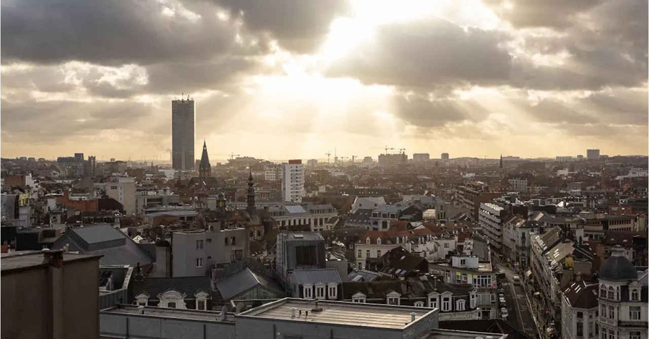 ‘De enige “stevige garantie” voor Nederlandstaligen in Brussel is dat de taalwetten worden nageleefd’