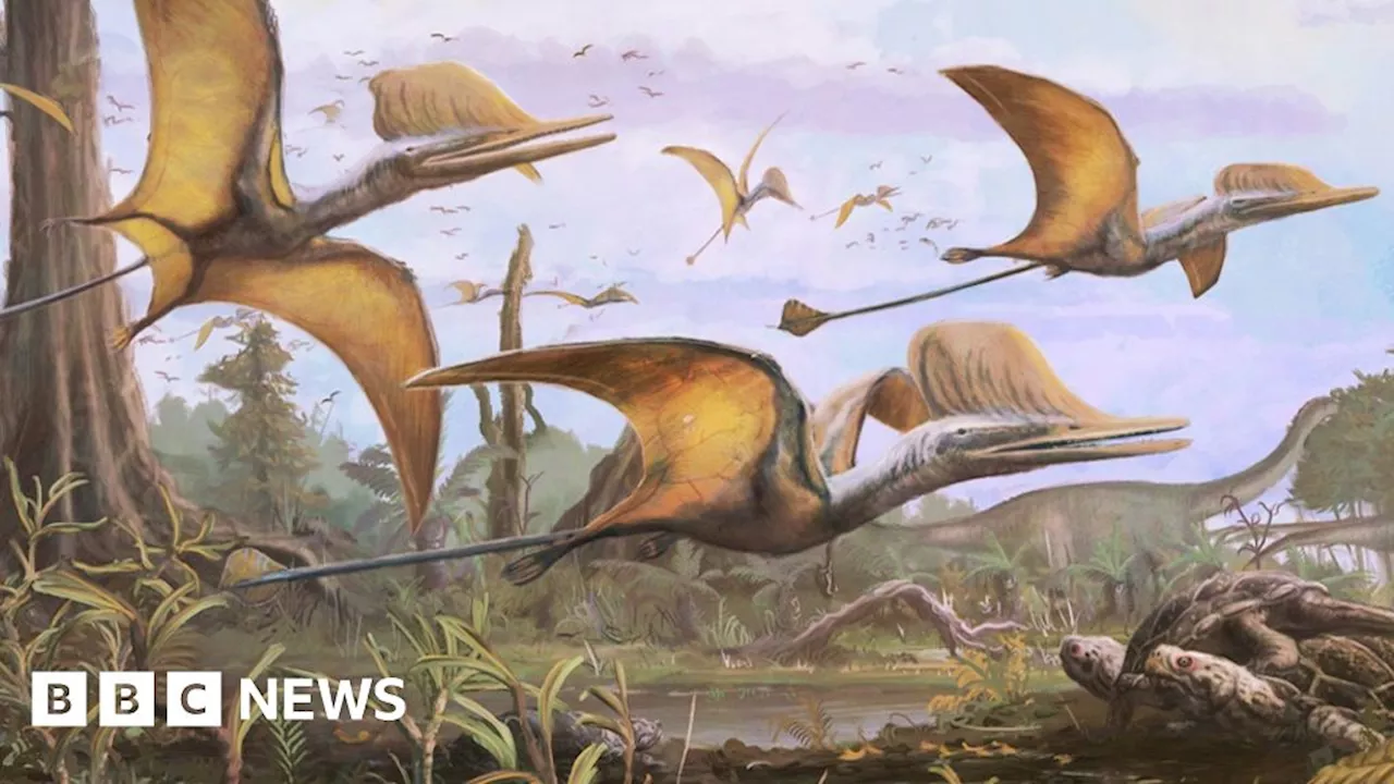 Pterosaur: Unique flying reptile soared above Isle of Skye