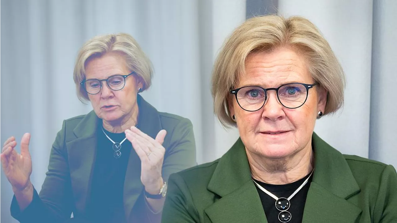 Nya rikspolischefen: ”Visitationszoner införs för att medborgare ska känna sig trygga”