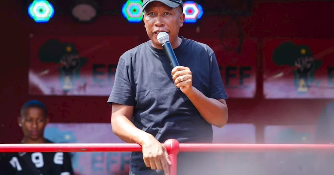 EFF cites Malema's et al suspension from Parliament as 'unlawful'