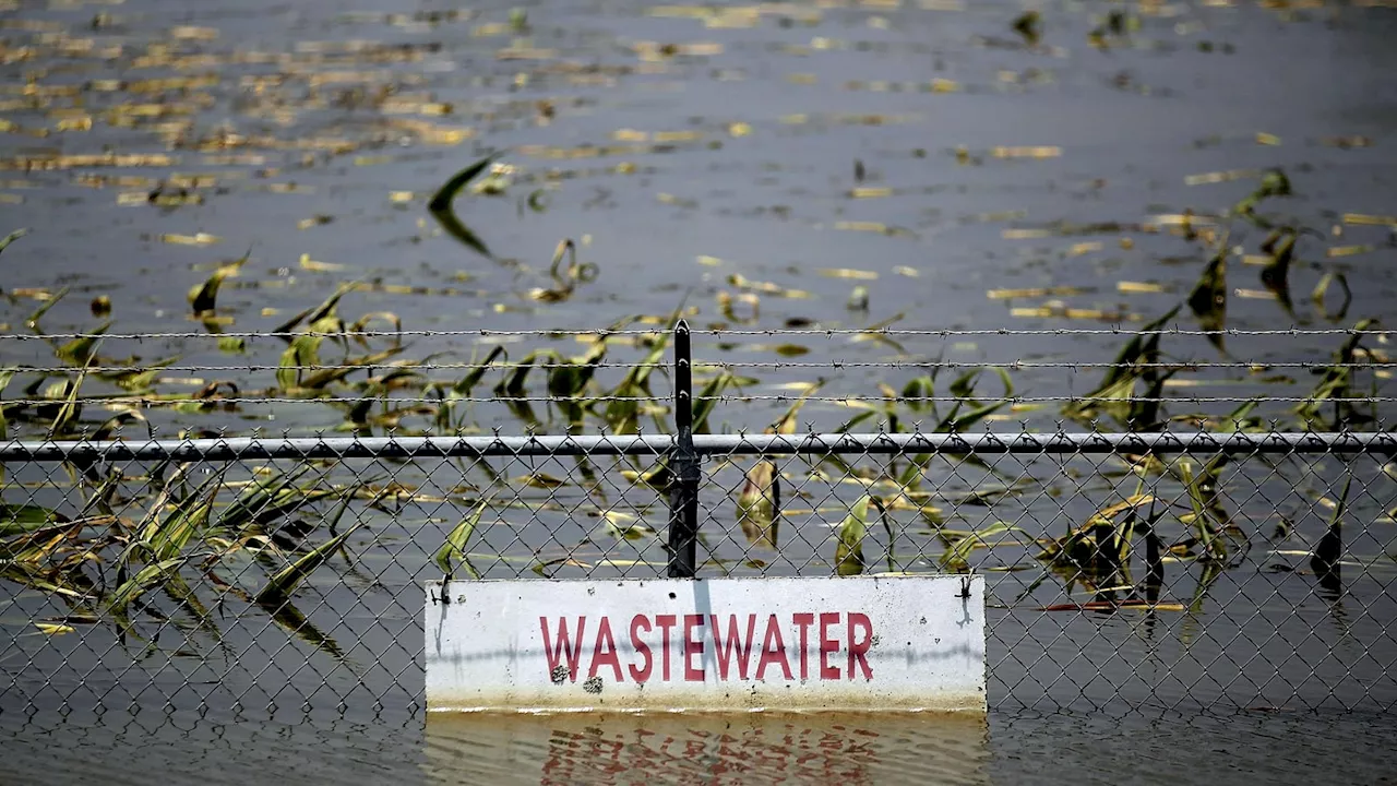 Billions Facing Clean Water Crisis By 2050, Scientists Warn — Here’s Why