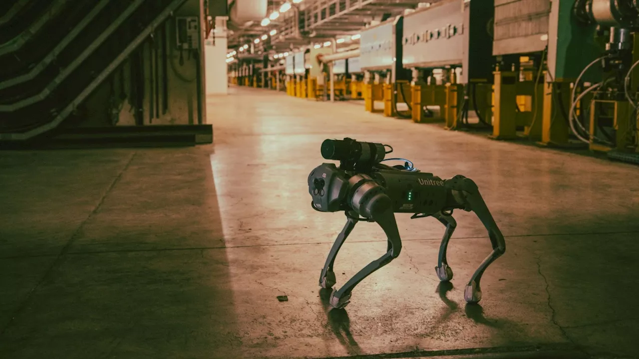 CERN unleashes powerful robot-dog to inspect nuclear radiation zones