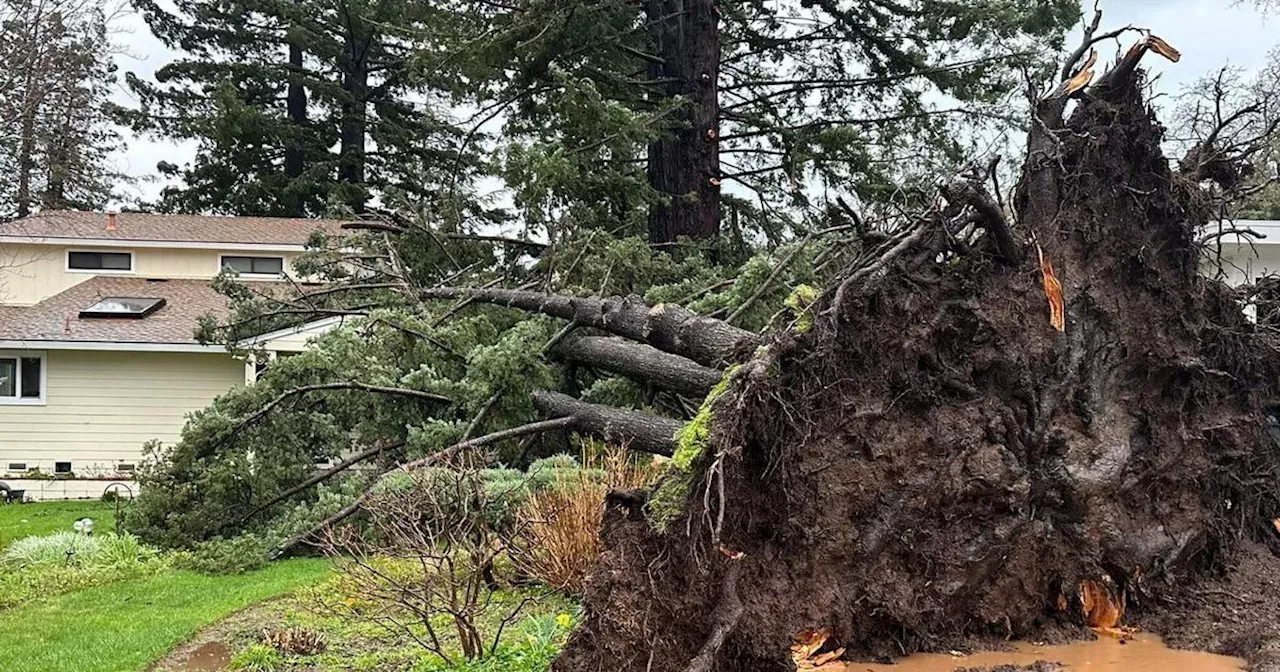 Widespread power outages remain, multiple schools closed after powerful Bay Area storm