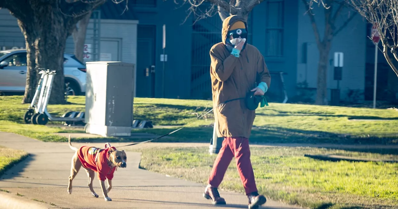 Weirdly warm, creepily cold: This winter in Austin is an exercise in extremes