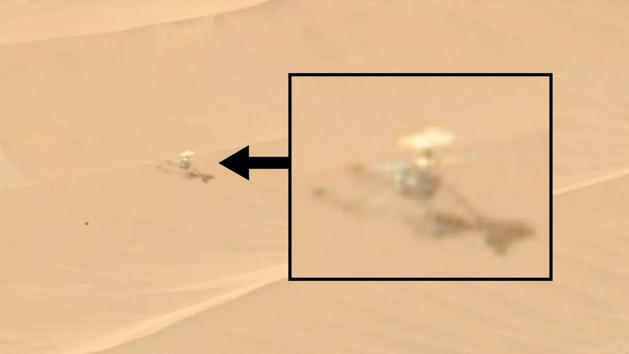 NASA Ingenuity Mars helicopter, broken and alone, spotted by Perseverance rover on Martian dune (photo, video)