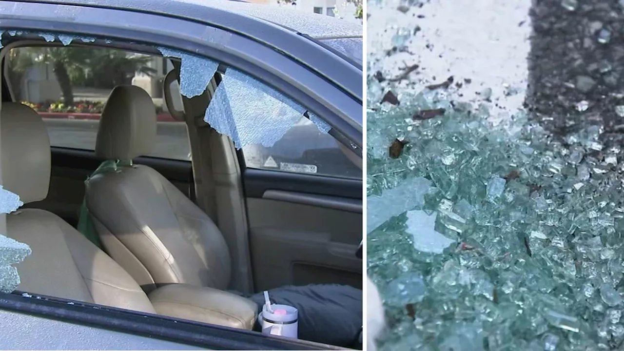 Grandma's ashes stolen in mass car break-in at Peninsula hotel housing storm victims