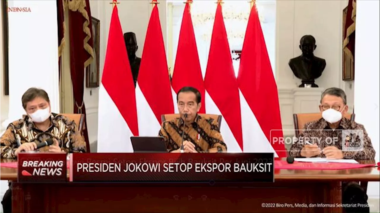 Beda Dengan Nikel, Aksi Jokowi Ini Kurang Bertaji