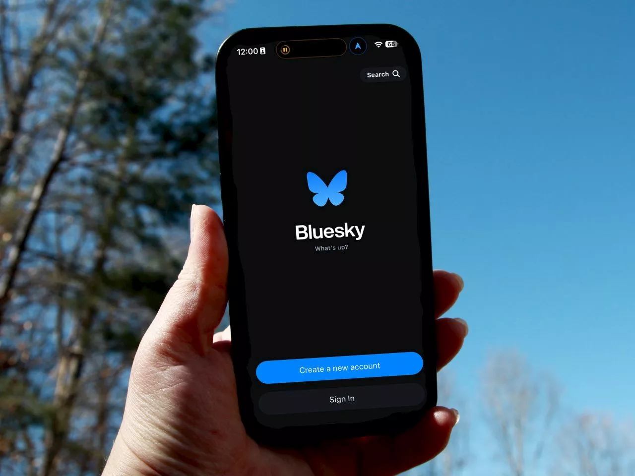 分散型SNS「Bluesky」、ついに一般公開--招待不要に