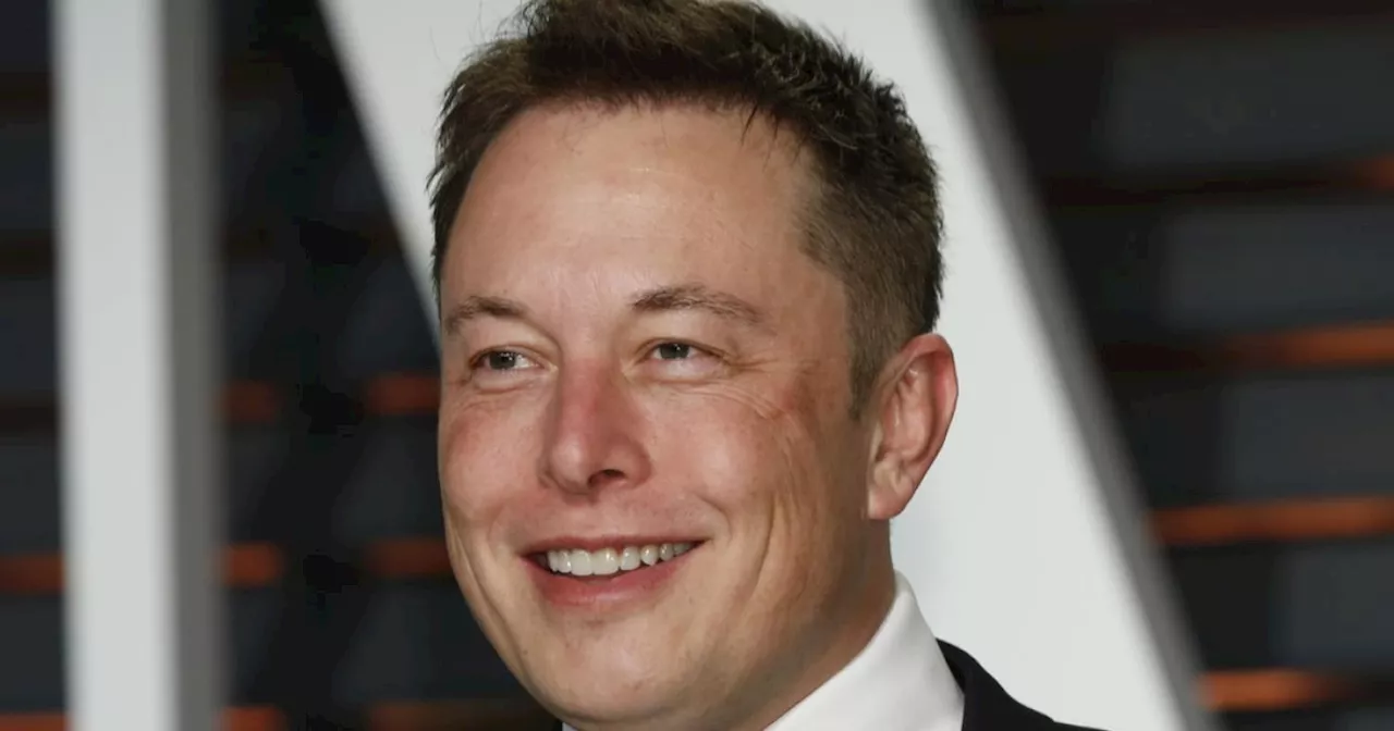 Elon Musk overrasker: Hjælper kontroversiel stjerne med at sagsøge Disney