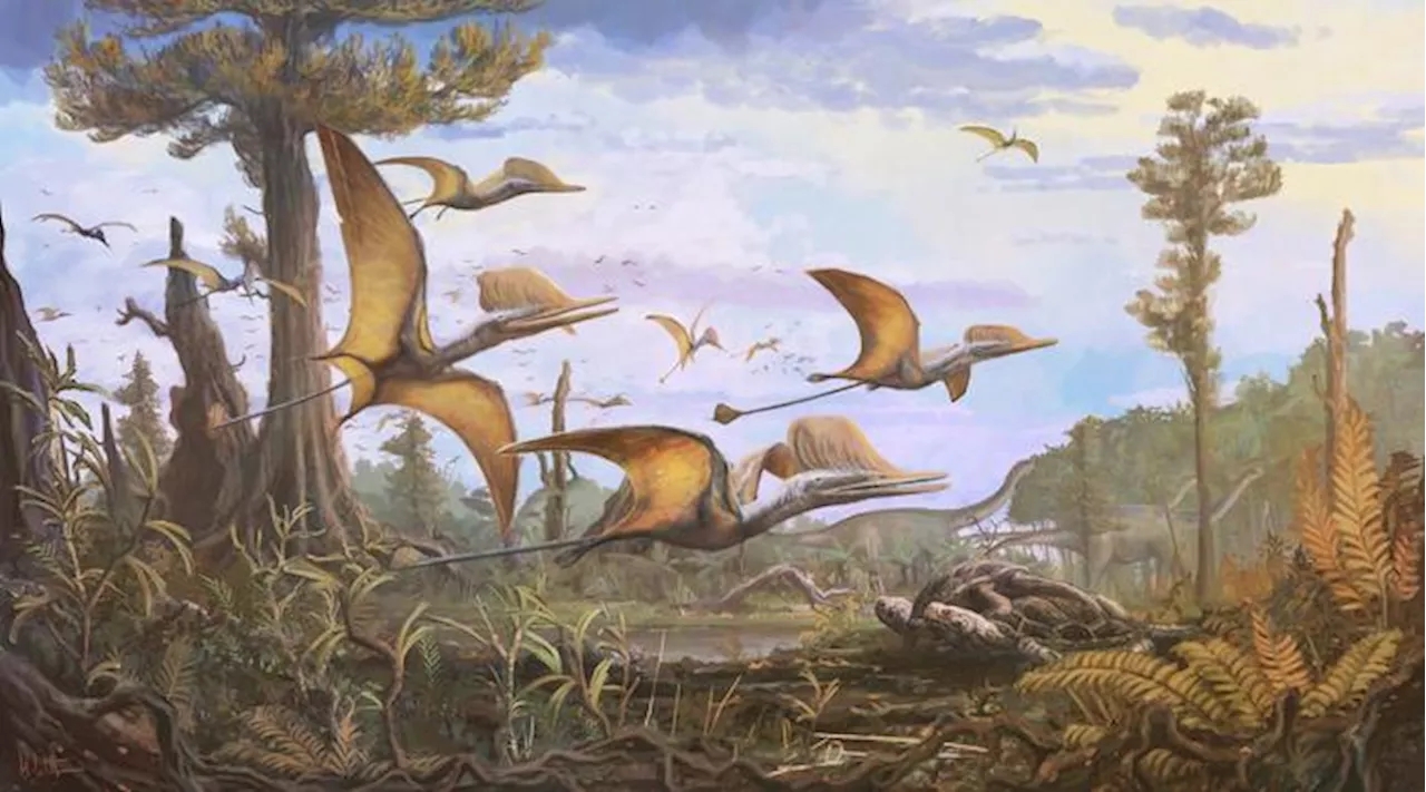 New Pterosaur Discovery Shows the Winged Reptiles Soared the Skies for 25 Million Years