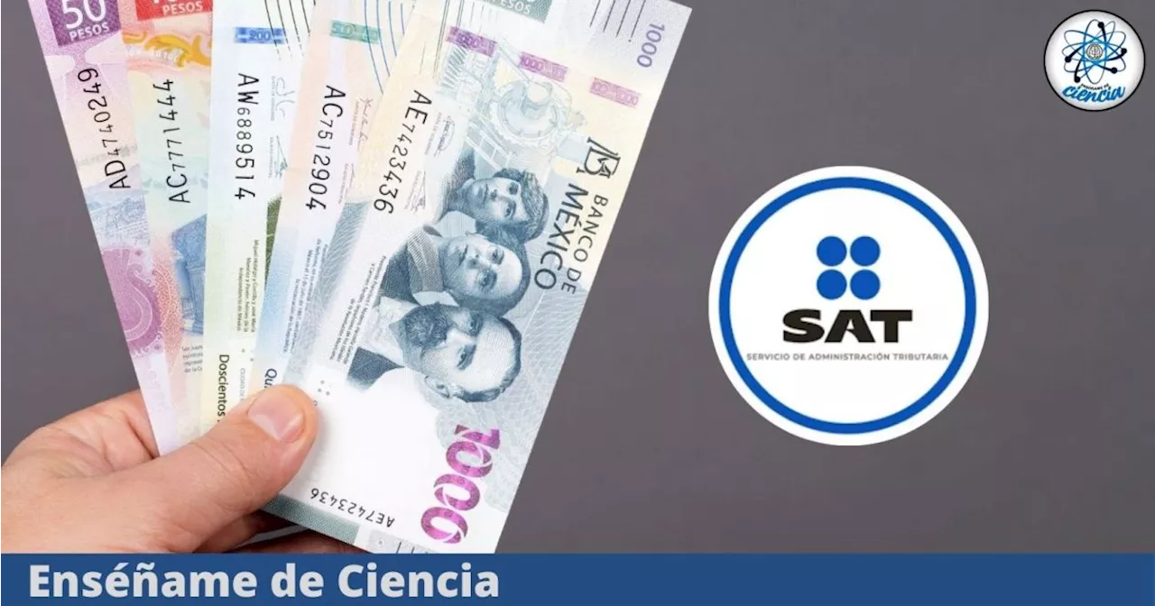 ¿En qué debes gastar tu dinero para que el SAT pueda darte saldo a favor?