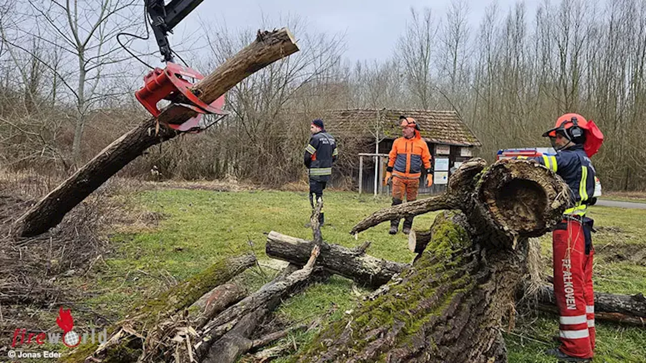 Feuerwehr Alkoven übt Umgang mit Motorkettensäge