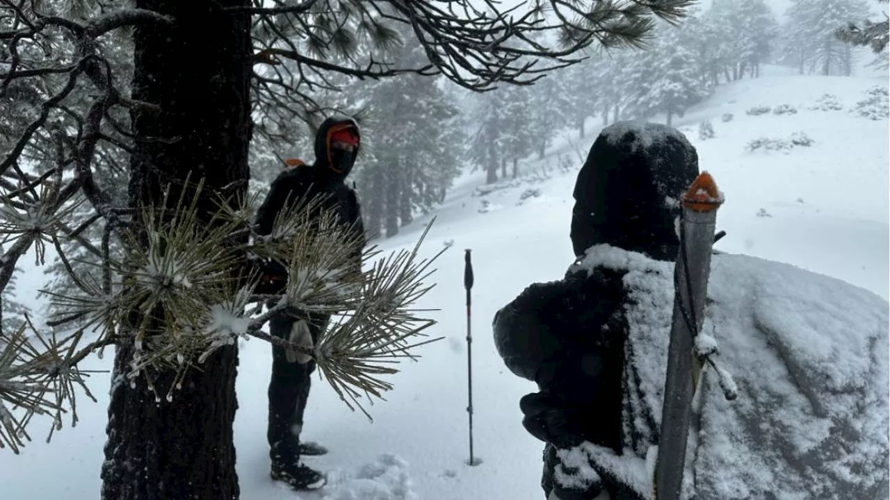 Search Continues for Missing Hiker on Mount Baldy, Three Others Rescued