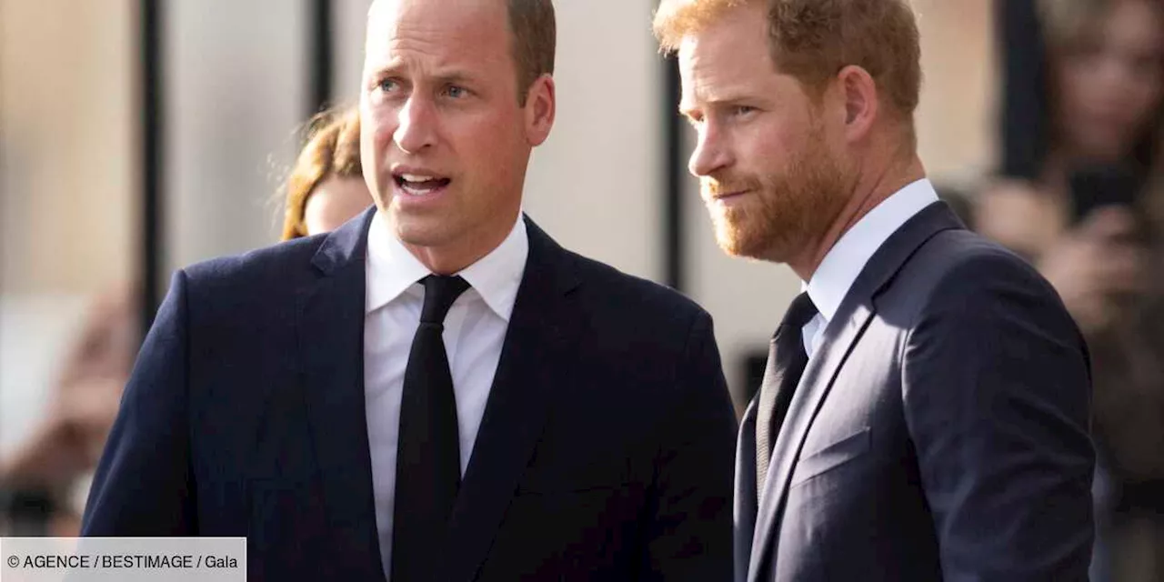 – Avec le cancer de Charles III, une réconciliation entre William et Harry est-elle possible ?