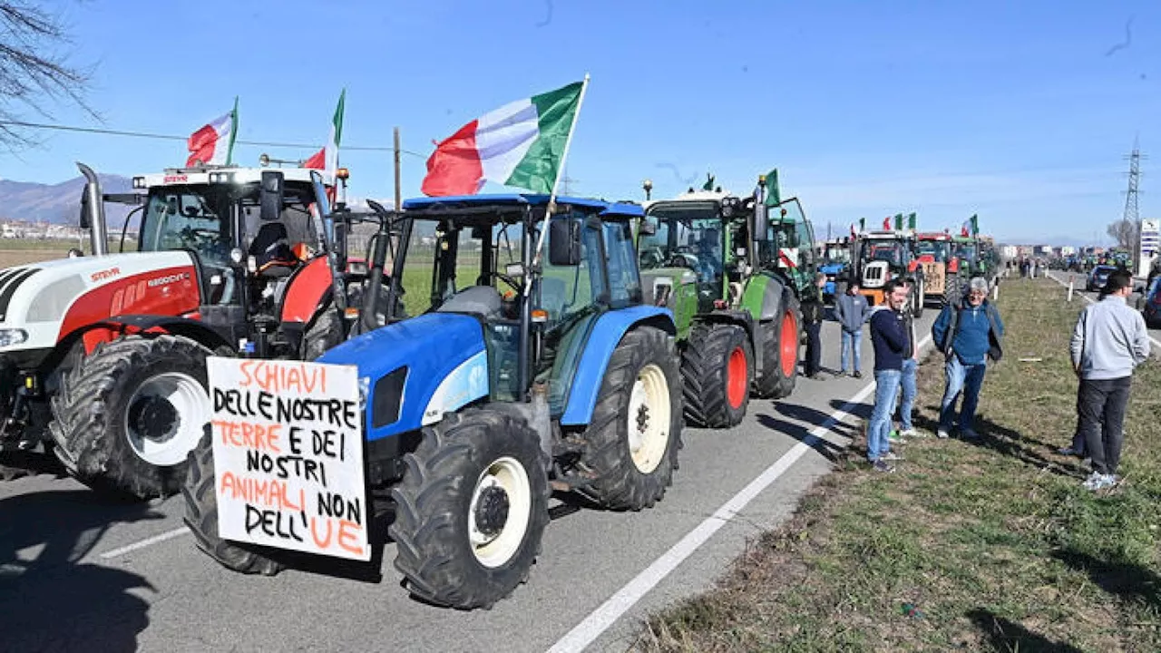 Sfameremo il pianeta con ogm e carne coltivata, non con i manicaretti a km zero