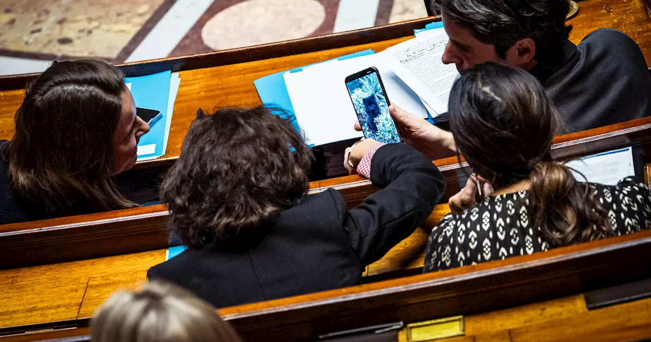 A l’Assemblée, Gabriel Attal regarde des photos de petit chien mignon sur son smartphone quand l’opposition parle de mal-être au travail