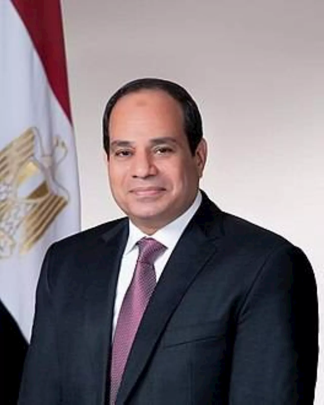 السيسي يقرر رفع الحد الأدنى لأجور العاملين في مصر 50% من الشهر القادم