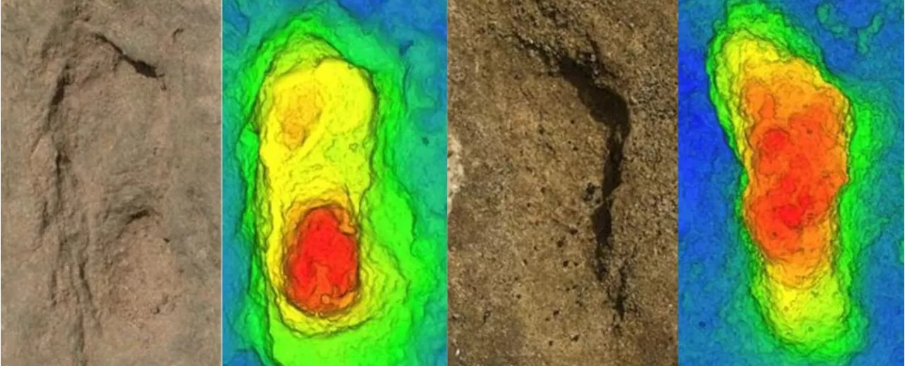 90,000 Years Ago, Humans Walked on a Moroccan Beach. We Just Found Their Footprints.