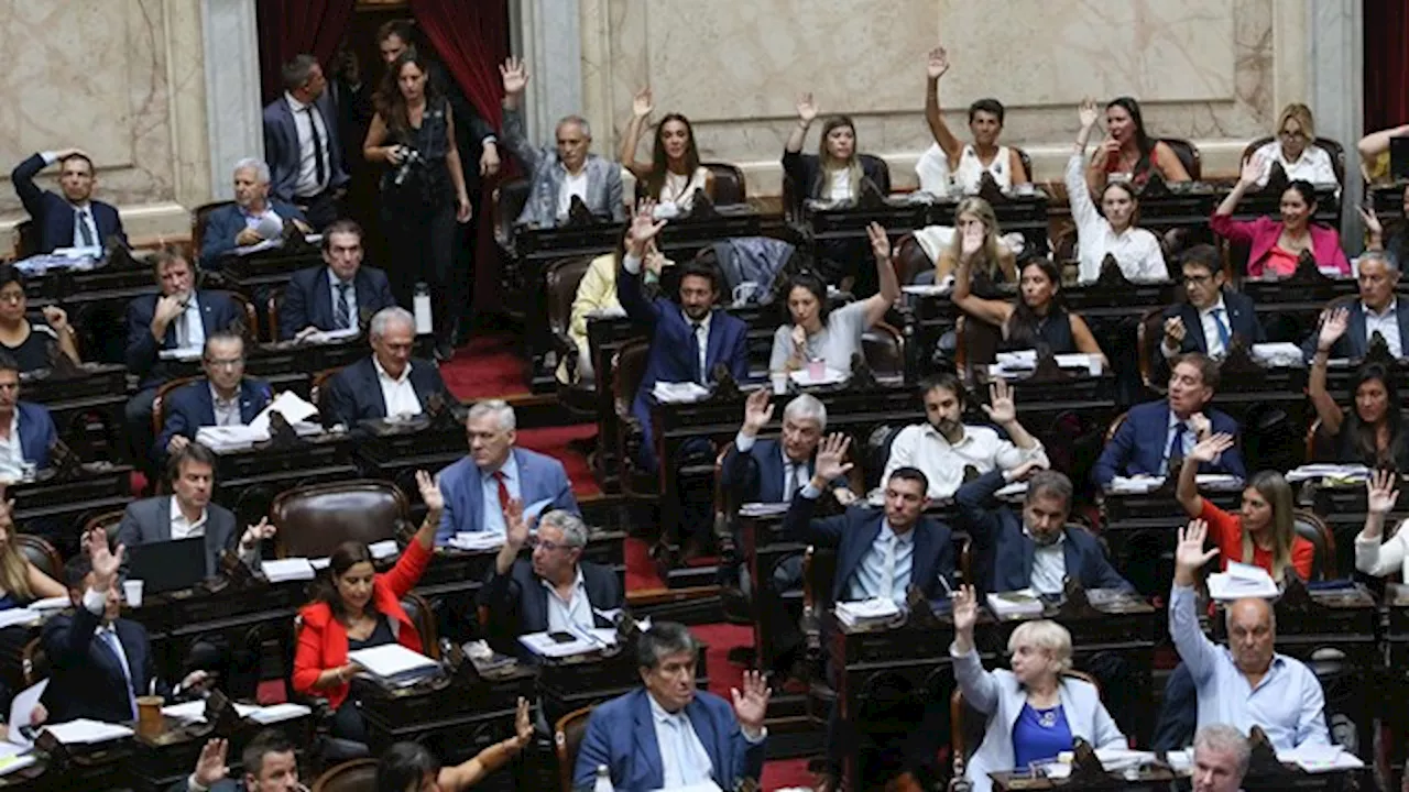 Ley Ómnibus: diputados reanudó la sesión en un clima de incertidumbre en artículos clave