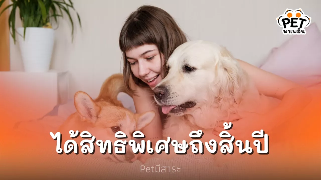 เหล่าทาสมีเฮ ธนาคารร่วมกับโรงพยาบาลสัตว์ให้สิทธิส่วนลดพิเศษ ยาวถึงสิ้นปี