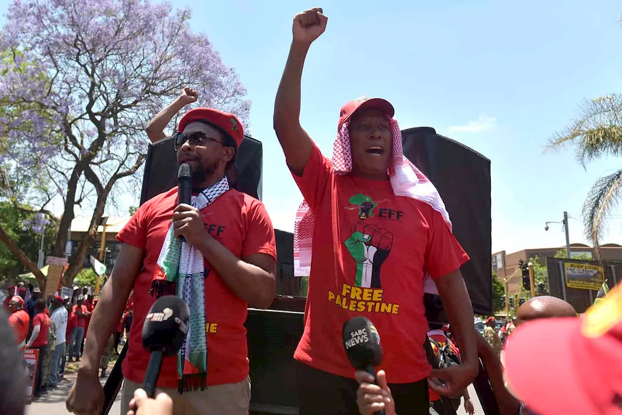 Ipsos poll shows EFF could overtake DA as official opposition