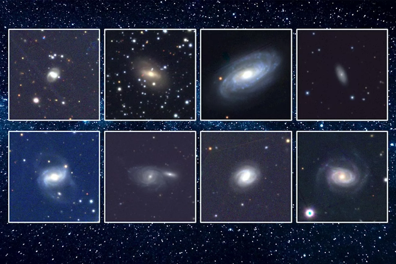 Astronomers See 18 Examples of Stars Getting Torn Apart by Black Holes