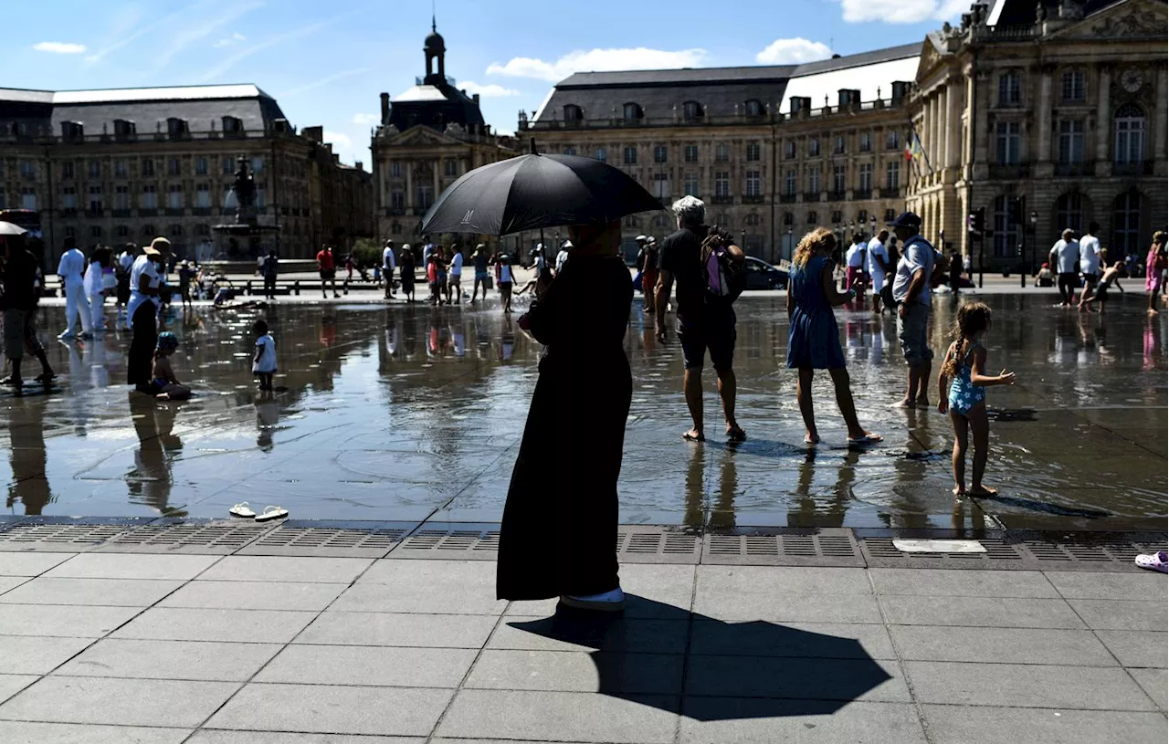 Canicule 2023 : Plus de 5.000 décès en France, liés à la forte chaleur