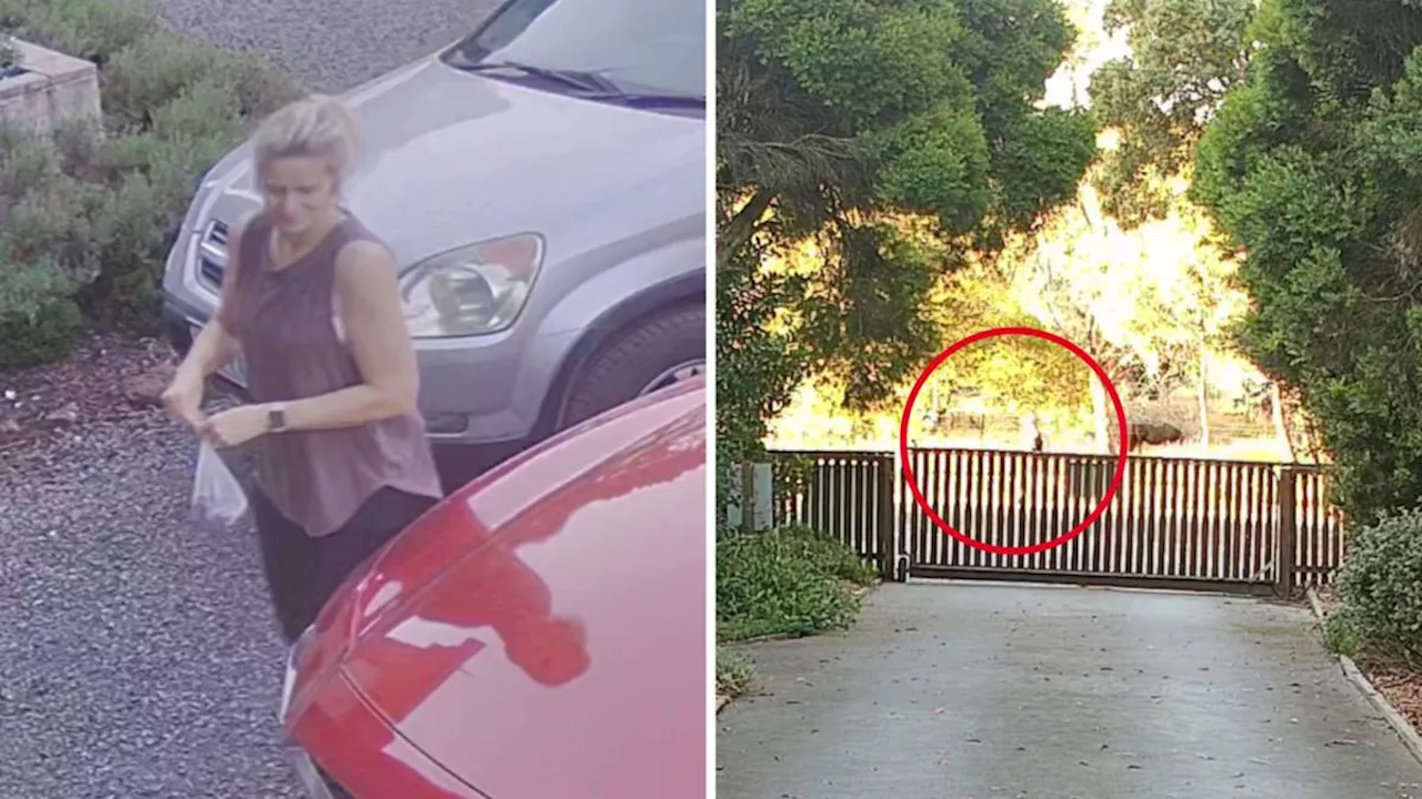 New CCTV of missing Victorian mum Samantha Murphy shows her running away from forest